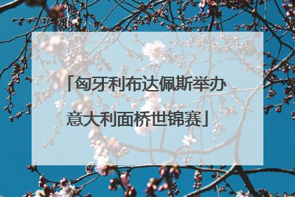 匈牙利布达佩斯举办意大利面桥世锦赛