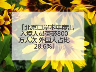 北京口岸本年度出入境人员突破800万人次 外国人占比28.6%