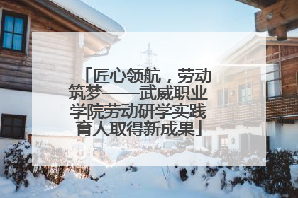 匠心领航，劳动筑梦——武威职业学院劳动研学实践育人取得新成果