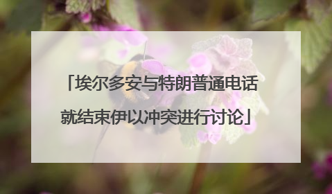 埃尔多安与特朗普通电话 就结束伊以冲突进行讨论