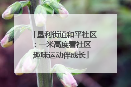 垦利街道和平社区：一米高度看社区 趣味运动伴成长