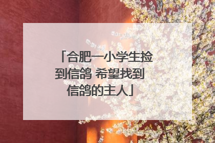 合肥一小学生捡到信鸽 希望找到信鸽的主人