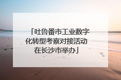 吐鲁番市工业数字化转型考察对接活动在长沙市举办