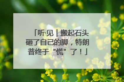 听·见｜搬起石头砸了自己的脚，特朗普终于“慌”了！