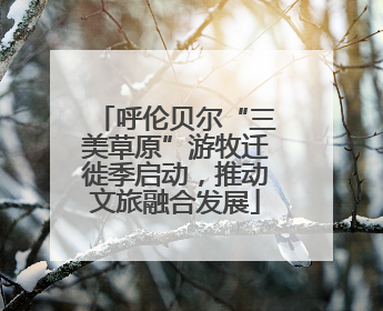 呼伦贝尔“三美草原”游牧迁徙季启动，推动文旅融合发展