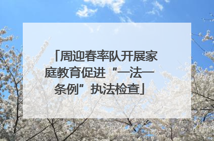 周迎春率队开展家庭教育促进“一法一条例”执法检查