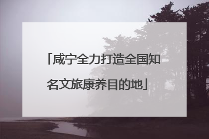 咸宁全力打造全国知名文旅康养目的地