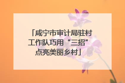 咸宁市审计局驻村工作队巧用“三招”点亮美丽乡村