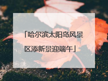哈尔滨太阳岛风景区添新景迎端午