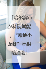 哈尔滨市农科院赋能，“寒地小龙虾”亮相哈洽会
