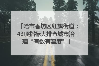 哈市香坊区红旗街道：43项指标大排查城市治理“有数有温度”