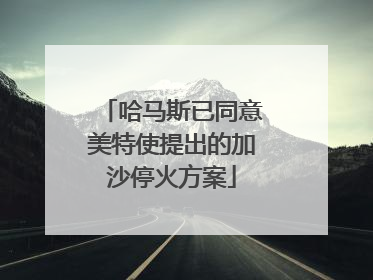哈马斯已同意美特使提出的加沙停火方案