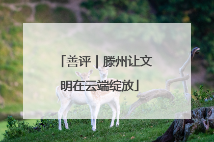 善评｜滕州让文明在云端绽放