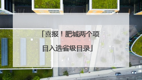喜报！肥城两个项目入选省级目录