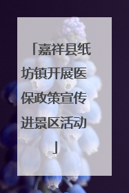 嘉祥县纸坊镇开展医保政策宣传进景区活动