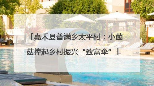 嘉禾县普满乡太平村：小菌菇撑起乡村振兴“致富伞”