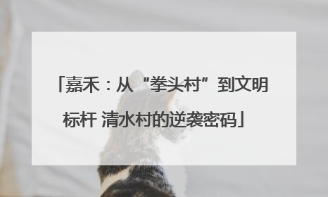 嘉禾：从“拳头村”到文明标杆 清水村的逆袭密码