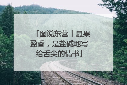 图说东营丨夏果盈香，是盐碱地写给舌尖的情书