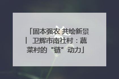固本强农 共绘新景 ︳卫辉市南社村：蔬菜村的“链”动力