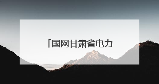 国网甘肃省电力公司：粽香迎端午 保电护安康