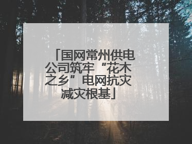 国网常州供电公司筑牢“花木之乡”电网抗灾减灾根基