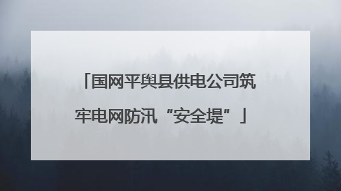国网平舆县供电公司筑牢电网防汛“安全堤”