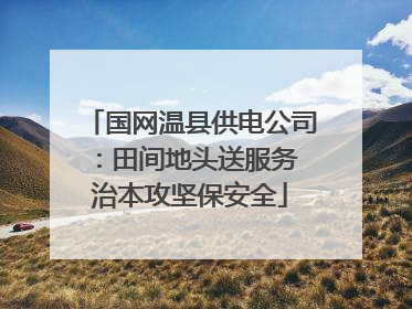 国网温县供电公司：田间地头送服务 治本攻坚保安全