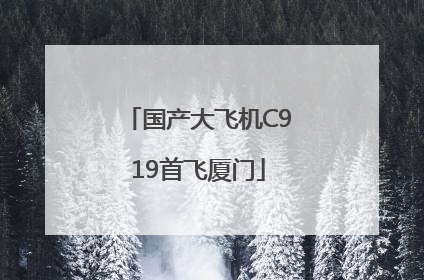 国产大飞机C919首飞厦门