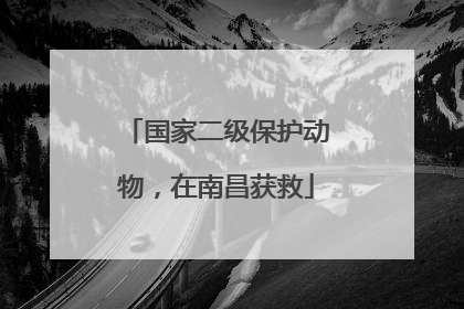 国家二级保护动物，在南昌获救