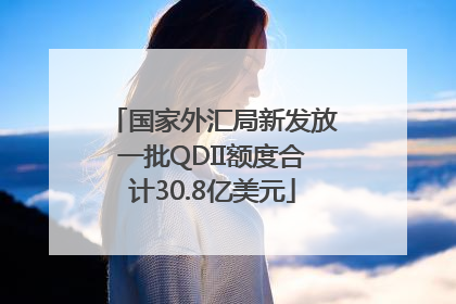 国家外汇局新发放一批QDII额度合计30.8亿美元