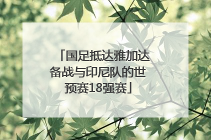 国足抵达雅加达备战与印尼队的世预赛18强赛