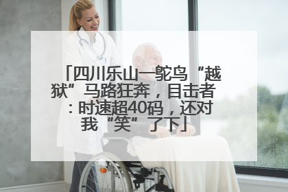 四川乐山一鸵鸟“越狱”马路狂奔，目击者：时速超40码，还对我“笑”了下