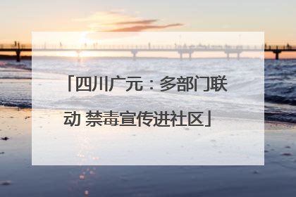 四川广元：多部门联动 禁毒宣传进社区