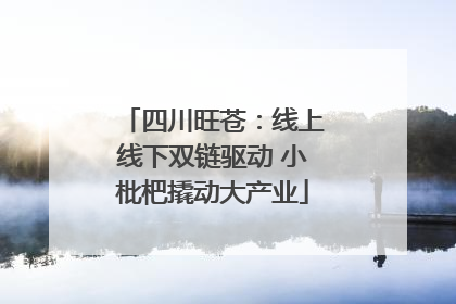 四川旺苍：线上线下双链驱动 小枇杷撬动大产业