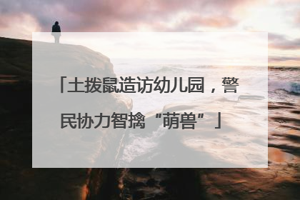 土拨鼠造访幼儿园，警民协力智擒“萌兽”