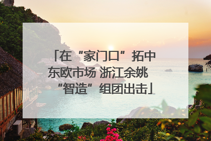 在“家门口”拓中东欧市场 浙江余姚“智造”组团出击