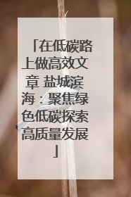 在低碳路上做高效文章 盐城滨海：聚焦绿色低碳探索高质量发展