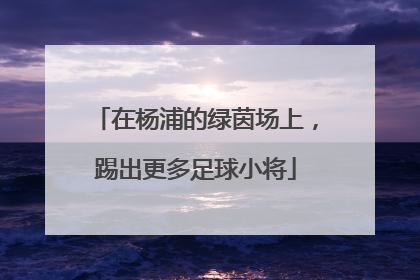 在杨浦的绿茵场上，踢出更多足球小将