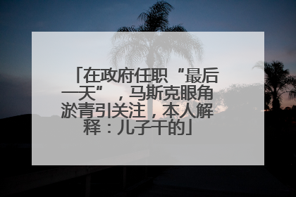 在政府任职“最后一天”，马斯克眼角淤青引关注，本人解释：儿子干的