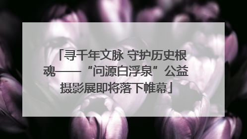 寻千年文脉 守护历史根魂——“问源白浮泉”公益摄影展即将落下帷幕