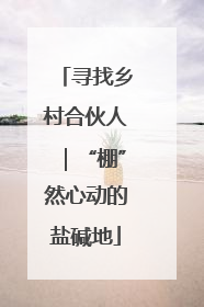 寻找乡村合伙人｜“棚”然心动的盐碱地