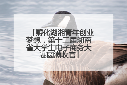 孵化湖湘青年创业梦想，第十二届湖南省大学生电子商务大赛圆满收官