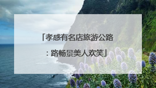 孝感有名店旅游公路：路畅景美人欢笑