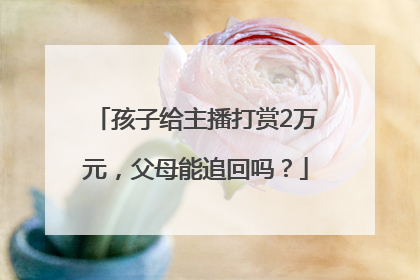 孩子给主播打赏2万元，父母能追回吗？