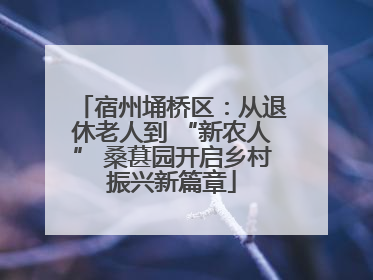 宿州埇桥区：从退休老人到 “新农人” 桑葚园开启乡村振兴新篇章