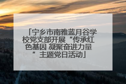 宁乡市南雅蓝月谷学校党支部开展“传承红色基因 凝聚奋进力量”主题党日活动