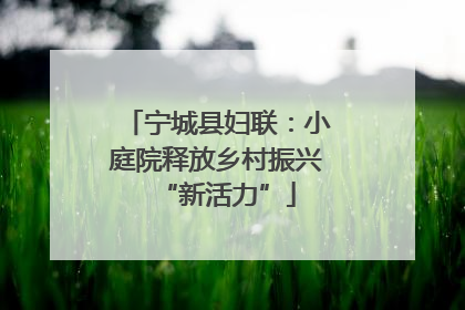 宁城县妇联：小庭院释放乡村振兴“新活力”