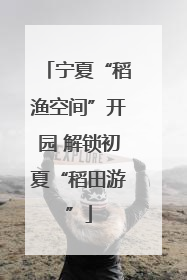 宁夏“稻渔空间”开园 解锁初夏“稻田游”