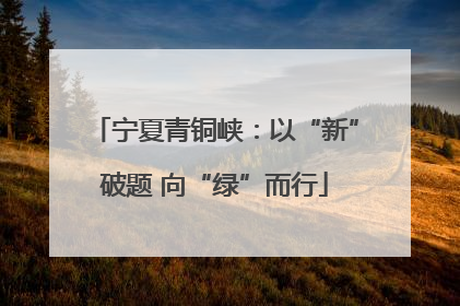 宁夏青铜峡：以“新”破题 向“绿”而行