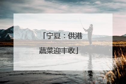宁夏：供港蔬菜迎丰收